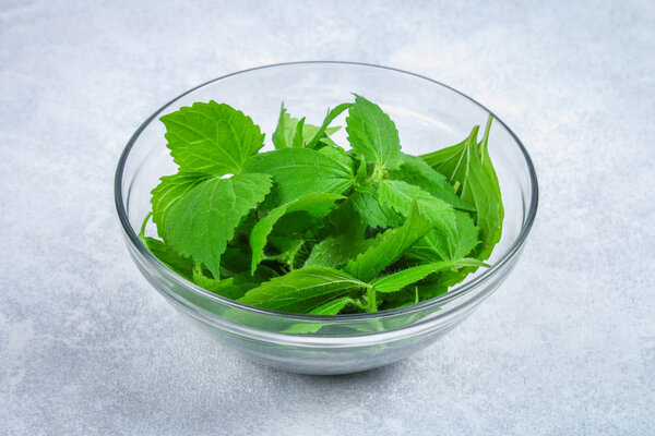 Leaves of fresh green nettle, salad in a glass bowl on a gray concrete table.