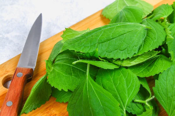 Hojas de ortiga verde fresca en una tabla de cortar madera con un cuchillo en una mesa de hormigón gris . — Foto de Stock