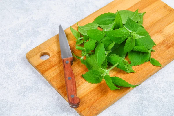 Taze yeşil ısırgan yaprakları gri beton masada bir bıçakla kesme ahşap tahta üzerinde.