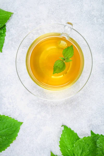 Blad av färska gröna nässlor och en klart glas kopp växtbaserade nässlor te på en grå betong bord. — Stockfoto