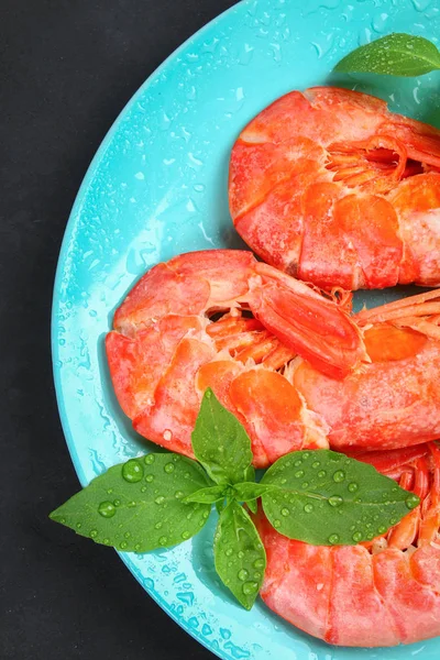 Grandes langostinos congelados reales en un plato azul con tomillo y albahaca sobre una mesa de hormigón. Camarones rojos. Vista superior . — Foto de Stock