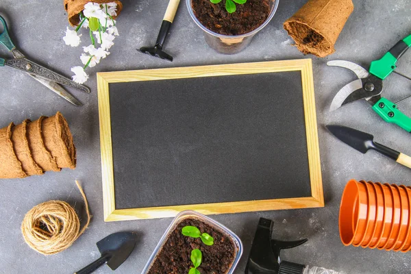 Herramientas de jardín y macetas sobre un fondo de hormigón gris. Tabla de tiza. Vista superior, espacio de copia . —  Fotos de Stock