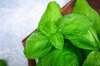 Yeşil taze ev yapımı fesleğen, gri beton masada bir kesme tahtası üzerinde bir cam kasede baharatlı ot.
