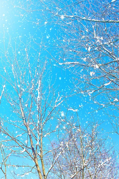 O tempo do inverno e da neve. Sol de inverno. Céu azul. Natureza nevada de inverno. Ar gelado . — Fotografia de Stock