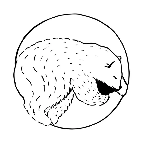 Dibujos animados estilo vector dibujado a mano ilustración con dormir oso polar, lindo animal — Vector de stock