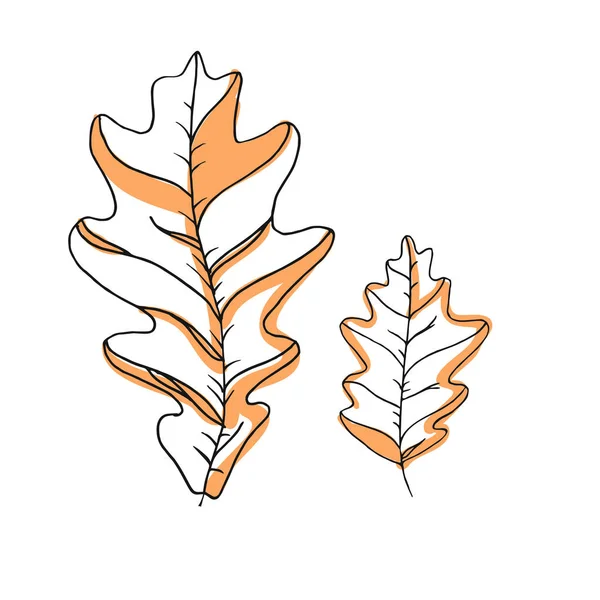 葉のベクター図面セット。孤立した木の葉。ハーブの刻まれたスタイルの図。有機製品のスケッチ。手描きの葉 — ストックベクタ