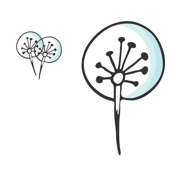 Dandeloon タンポポの花のセットです。手描き植物イラスト — ストックベクタ