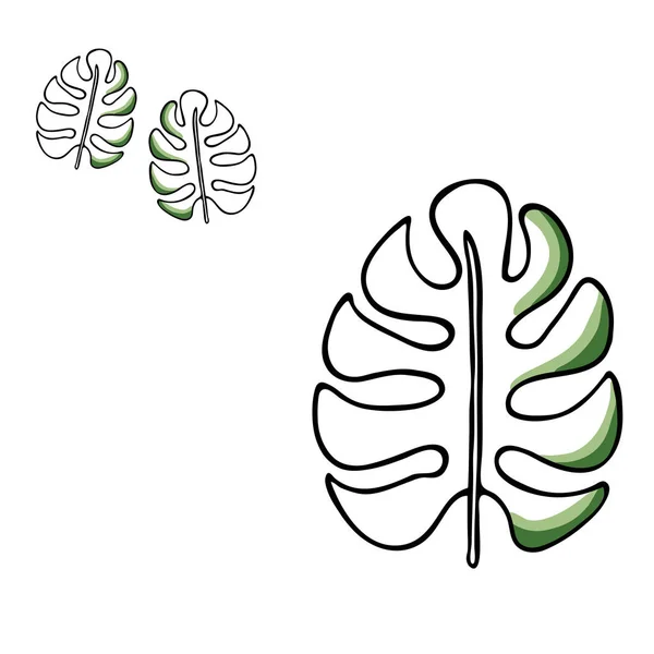 Ilustración vectorial de una hoja tropical. Hoja de palma dibujada a mano. elemento aislado único para la decoración, la moda. Naturaleza, árbol, aloha colores . — Vector de stock