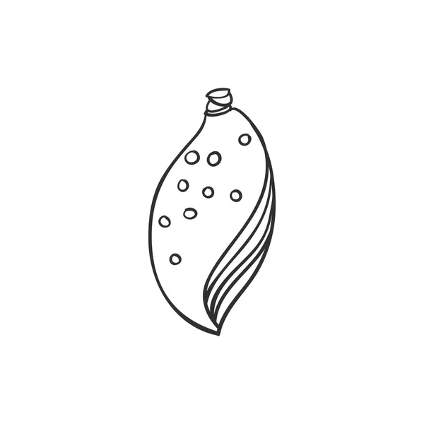 貝殻は、白で隔離。ベクトルの図。ビーチ レストラン メニュー カード、チケット、ブランド、ロゴ ラベルのコンセプトです。黒と白 — ストックベクタ