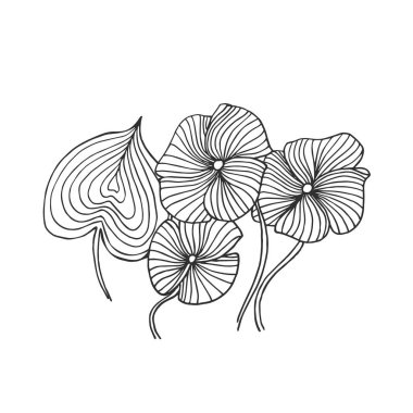 Siyah ve beyaz mürekkep el çiçegi vektörde çekilmiş.