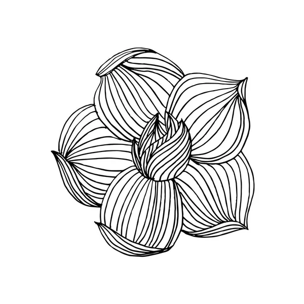 Encre noire et blanche dessinée à la main fleurs sauvages dans le vecteur — Image vectorielle