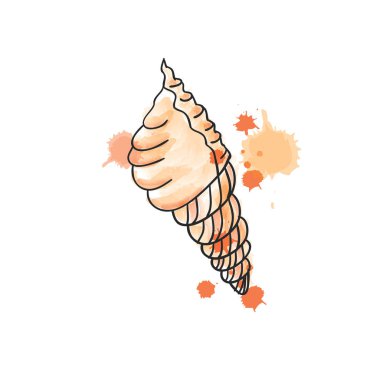 Suluboya seashell Tarih isoleted beyaz arka plan üzerinde. Vektör çizim. Restoran Menü kartı, Bilet, marka, logo etiket için Beach kavramı.