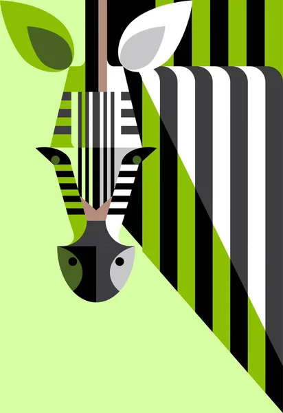 Düz portre. Zebra. Görüntü tasarımı için.