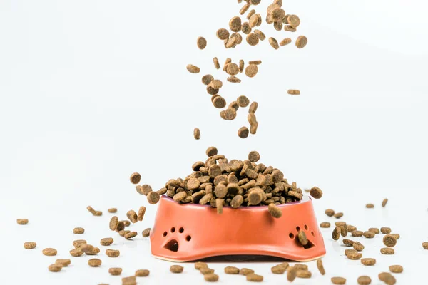 Tigela de cerâmica com alimentos secos para animais de estimação no fundo branco — Fotografia de Stock