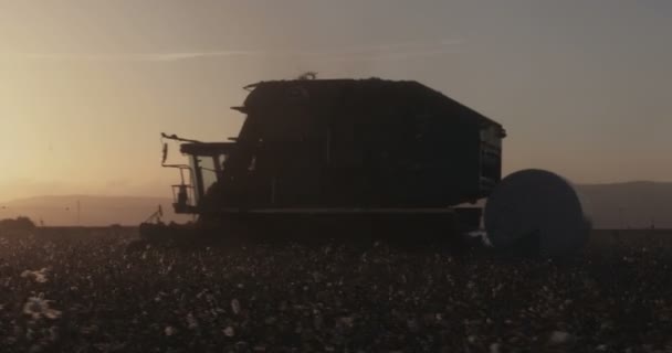 Tracciamento di una raccoglitrice di cotone in un campo di cotone durante il tramonto — Video Stock