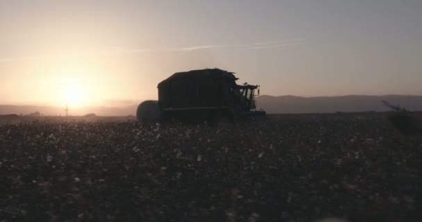 Shot śledzenia z bawełny kombajn w polu bawełny podczas zachodu słońca — Wideo stockowe