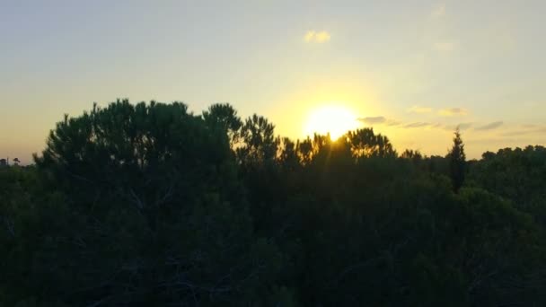 Vista aérea da paisagem do pôr do sol — Vídeo de Stock