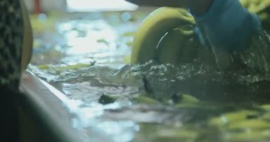 Bir büyük su deposu işlemi ambalaj sırasında yıkanmış muz