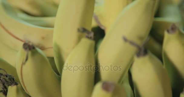 Racimo de plátano de corte trabajador durante el proceso de embalaje — Vídeos de Stock