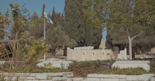 Military cemetery with graves — Stock Video