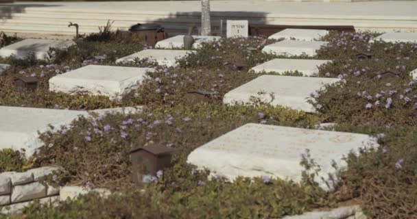 Soldatenfriedhof mit Gräbern — Stockvideo