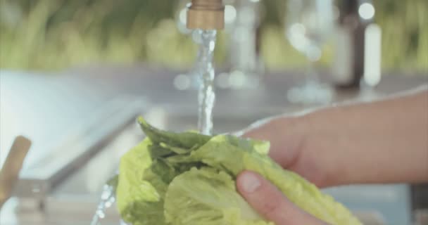 Muž venku mytí hlávkový salát — Stock video