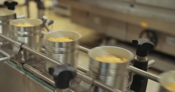 Żywność w puszkach zautomatyzowanej linii produkcyjnej — Wideo stockowe