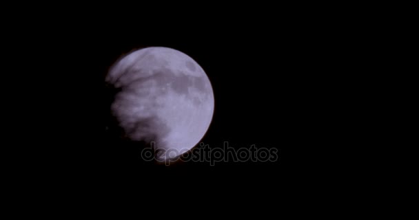 Luna piena che sorge da dietro gli alberi Filmato Stock