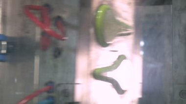 Plastik parçaların büyük bir fabrikada otomatik üretim