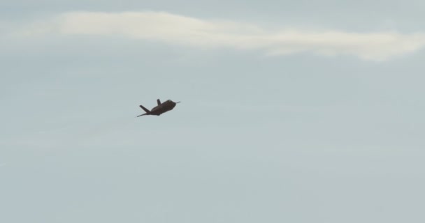 Israeliska flygvapnet f-35 stealth fighter under flygning på låg höjd — Stockvideo