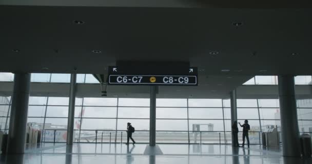 Silhuetten av människor i flygplatsterminalen promenader med bagage — Stockvideo