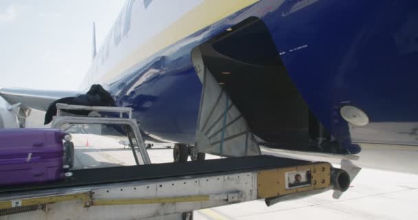Descarga de equipaje desde el avión en el aeropuerto — Vídeos de Stock