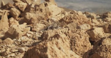 Çöl clifs İsrail ölü deniz kenarında