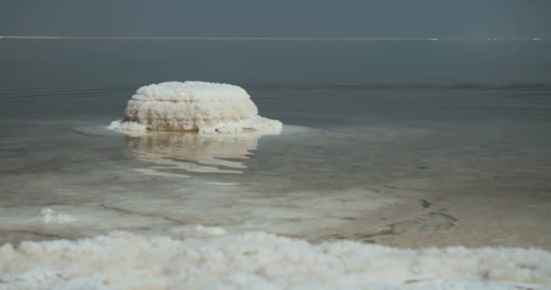 イスラエルの死海のほとりに塩堆積物のトラッキング ショット — ストック動画