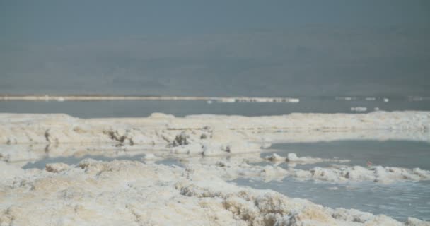 Tracking shot van zout afzettingen op de oevers van de dode zee in Israël — Stockvideo