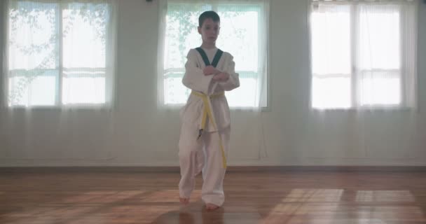 Filmagem em câmera lenta de um garoto praticando artes marciais — Vídeo de Stock