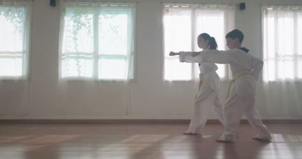 Imágenes en cámara lenta de niños pequeños practicando artes marciales — Vídeo de stock