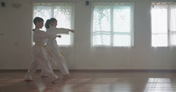 Imágenes en cámara lenta de niños pequeños practicando artes marciales — Vídeos de Stock