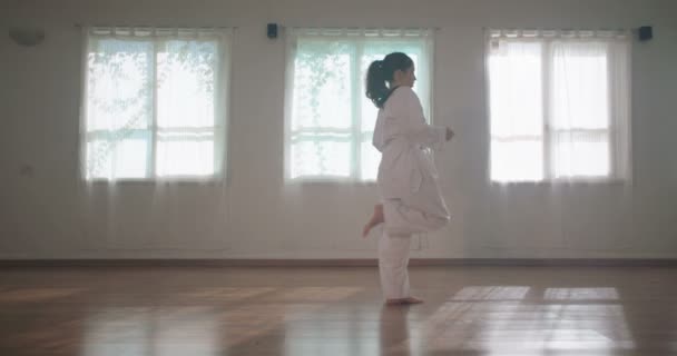 Αργή κίνηση μήκος σε πόδηα ενός κοριτσιού εξάσκηση των πολεμικών τεχνών — Αρχείο Βίντεο