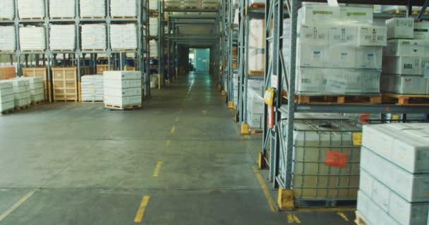 Gaffeltruck arbetar i ett lager — Stockvideo