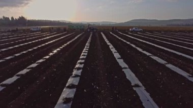 Traktörler ile bir alanda çalışan tarım işçileri havadan görüntüleri