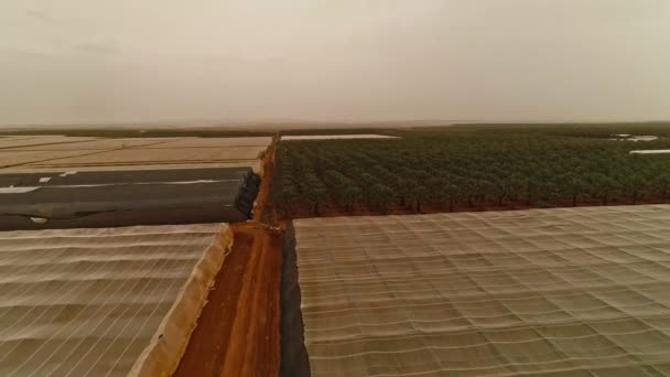 Images aériennes de maisons en filet avec plantations de bananes 