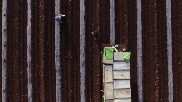 Съемка с воздуха работников фермы, работающих в поле с тракторами — стоковое видео
