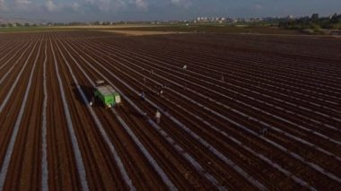 Traktörler ile bir alanda çalışan tarım işçileri havadan görüntüleri