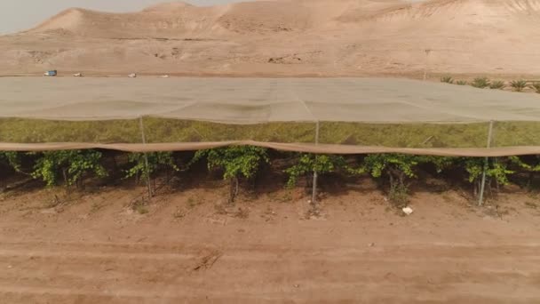 Luftaufnahmen von Netto-Häusern mit Weinberg — Stockvideo