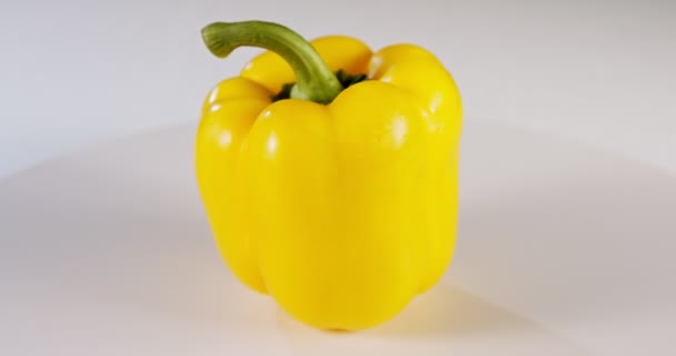 Zavřít žlutý paprika rotující na bílém pozadí — Stock video