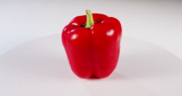 Stänga upp en röd bell pepper roterande på en vit bakgrund — Stockvideo