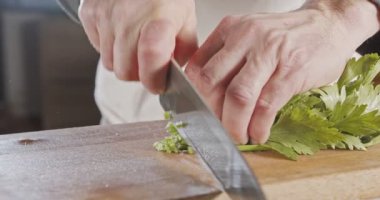 Yavaş çekimde şef bıçağı kereviz yapraklarını kesiyor.