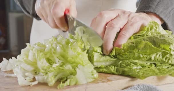 Chef-kok mes snijden groene sla - close-up — Stockvideo