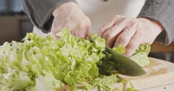Cuchillo de chef cortando lechuga verde - de cerca — Vídeos de Stock